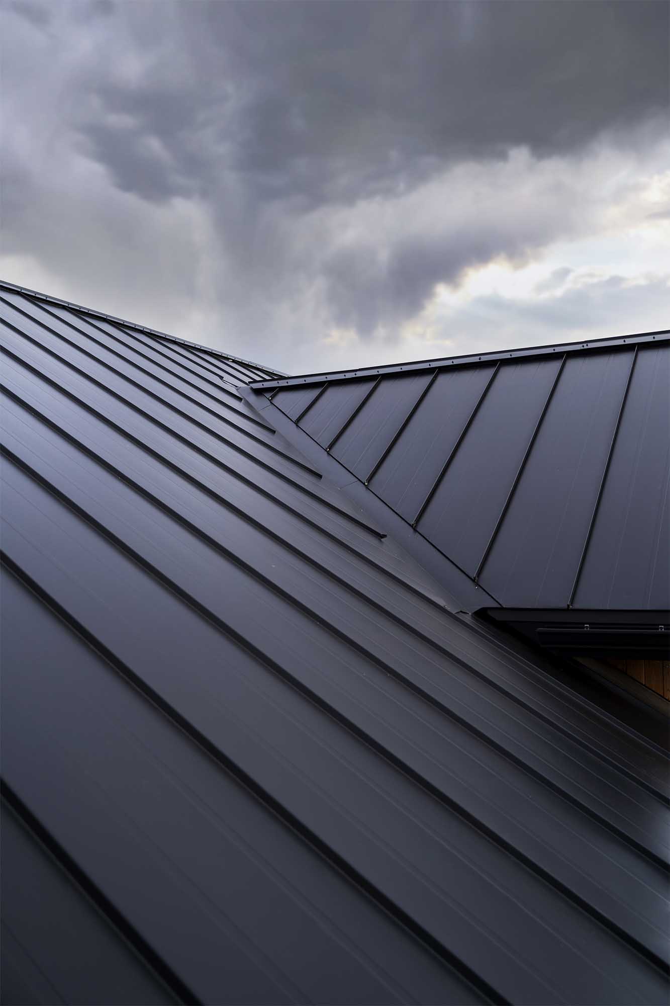 Modern black roof